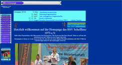Desktop Screenshot of bsv-schefflenz.de